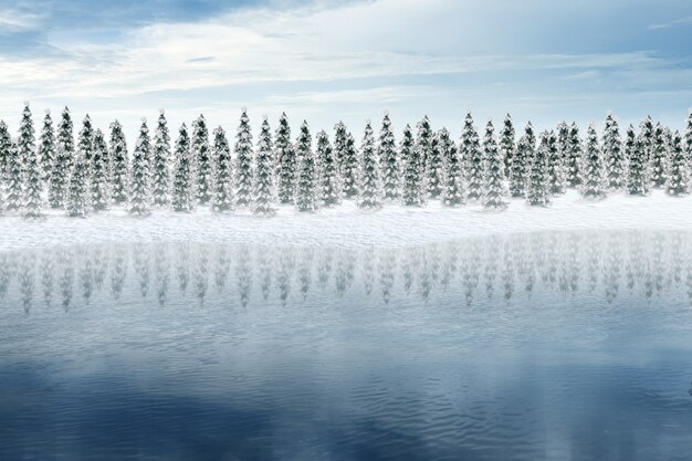 Snowy fir trees at the edge of the lake with blue sky background