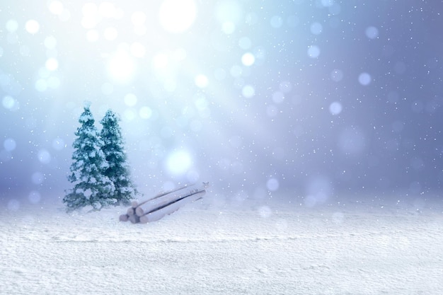Snowy fir trees with blurred light background