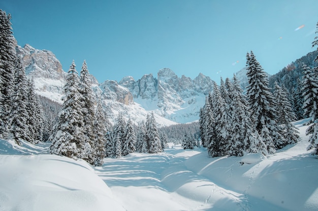 Foto gratuita paesaggio innevato