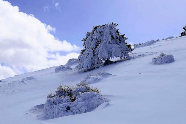 Снежные пейзажи из интерьера гранады испания
