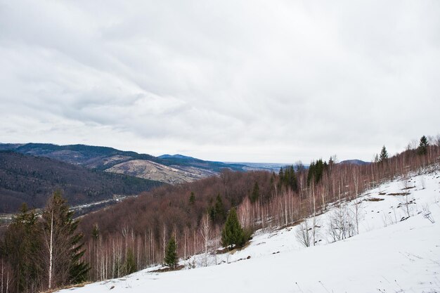 カルパティア山脈の雪に覆われた山の谷マコビツァの頂上からのウクライナのカルパティア山脈とヤレムチェの眺め