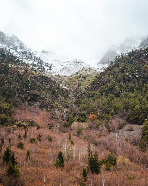 Snowy mountains and colorful forest on a cloudy day