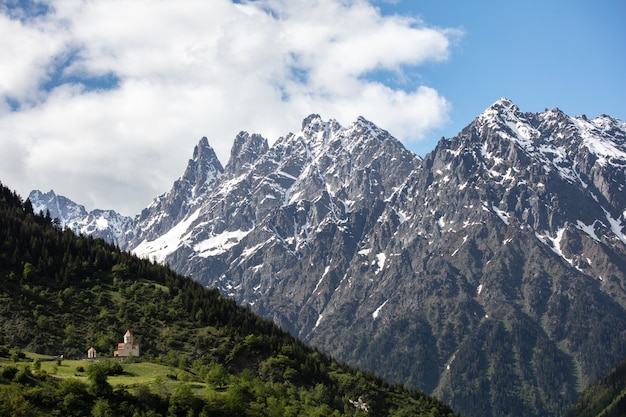 Snowy mountains and green forest