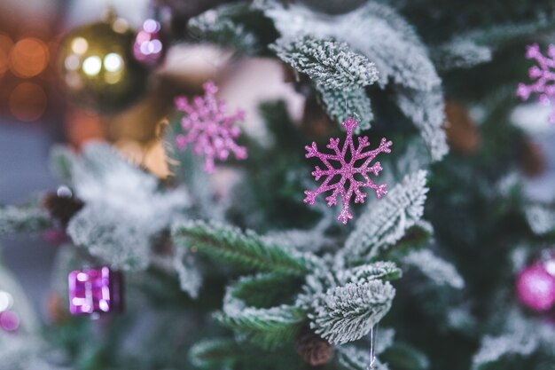 紫色の花と雪に覆われた松