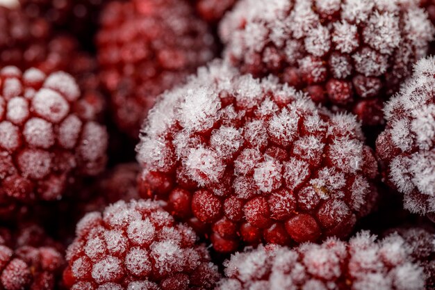 Snowy ripe blackberries close-up. vertical.
