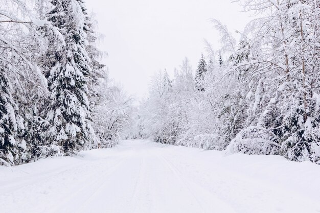 雪 写真 175 000 高画質の無料ストックフォト