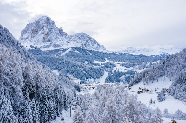 Snowy tree-covered mountains captured during the daytime