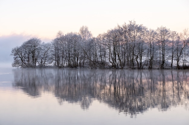 Snowy trees near the lake with reflections in the water on a foggy day