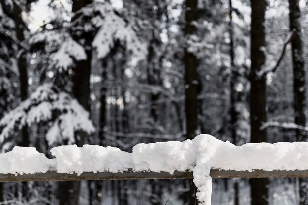 Snowy wooden handrail in forest