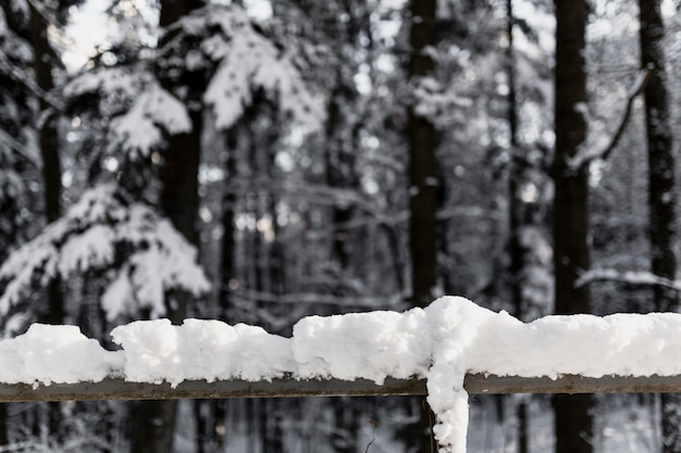 雪の木製の手すり、森林