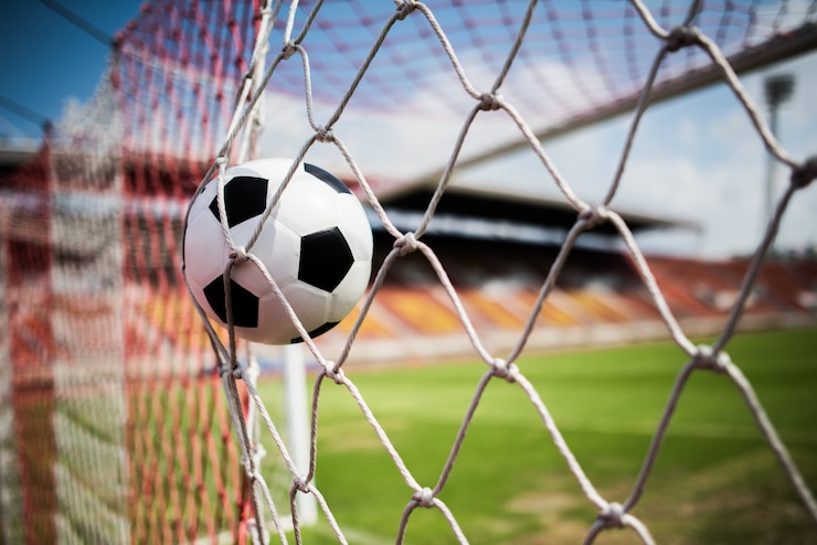 Free Photo soccer into goal success concept