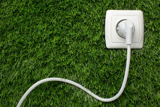 Free photo socket on grass