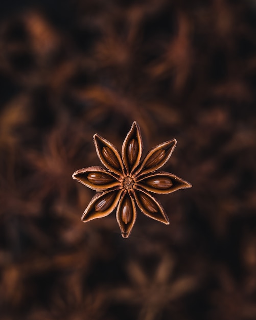 Soeos Star Anise Seeds, Анис Эстрелла