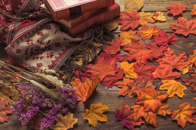 Soft blanket and books near flowers and leaves