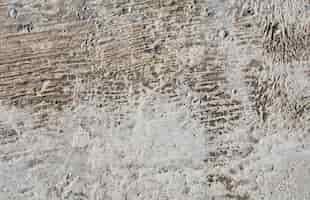 Free photo soft concrete texture