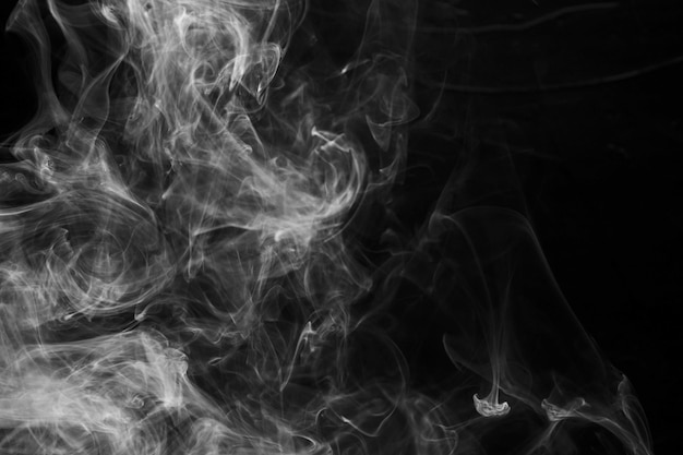 Free photo soft focus of smoke on black background