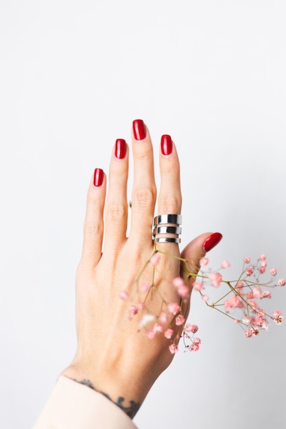 Soft gentle photo of woman hand with big ring red manicure hold cute little pink dried flowers on white.