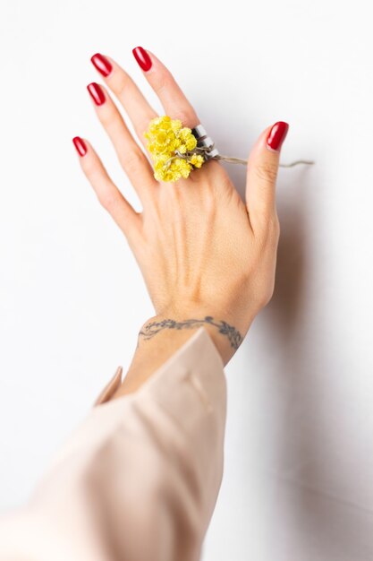 Soft photo of woman hand red manicure, ring on finger, hold cute yellow little dry flower, white.