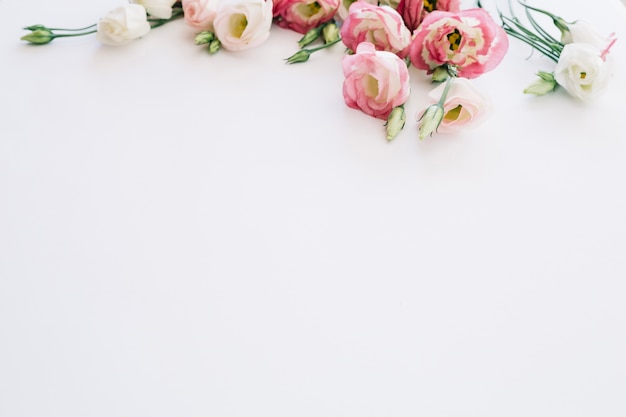 Soft pink blooming roses