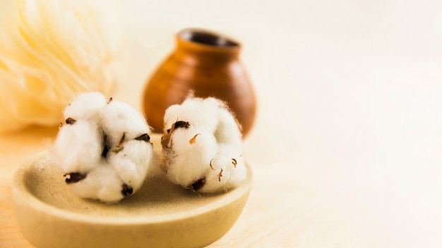 Free photo soft raw cotton flower on plate