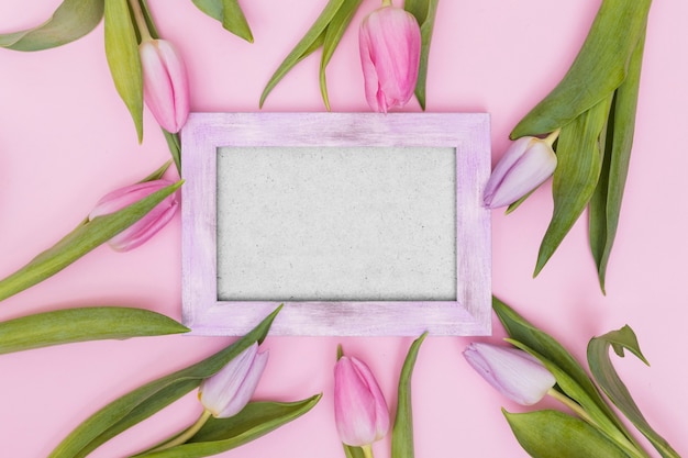 Free photo soft tulips and empty frame