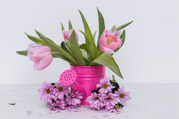 Soft tulips in watering pot