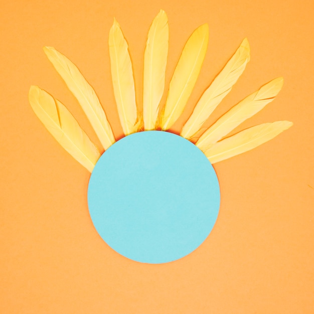 Soft yellow feathers on the blue circle blank frame against an orange background