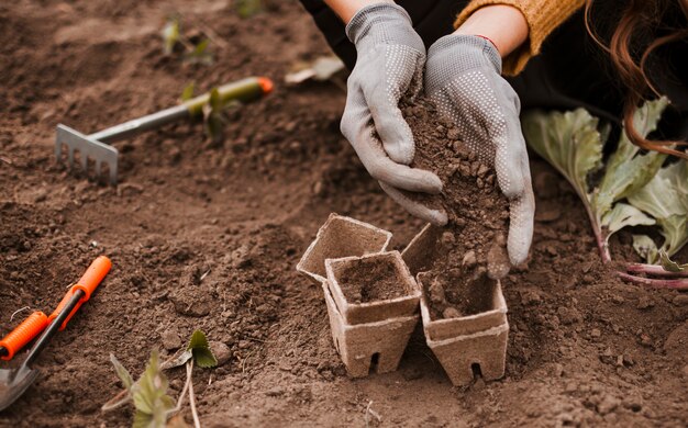 Soil in pots