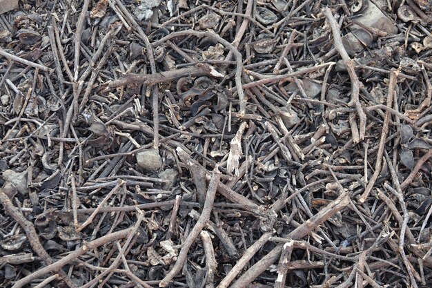 Soil with dry tree branches