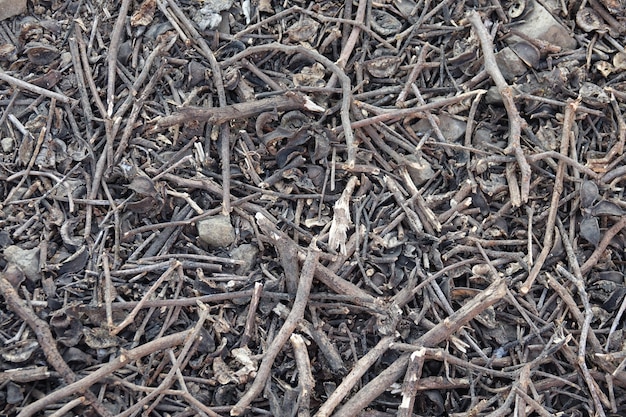 Soil with dry tree branches