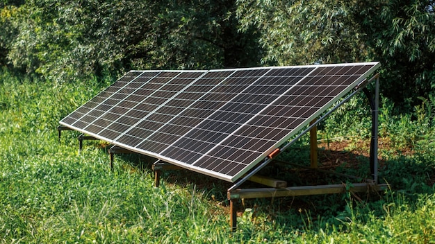 Solar panels on the ground in the nature. Greenery around