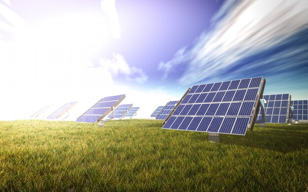 Solar panels in a meadow