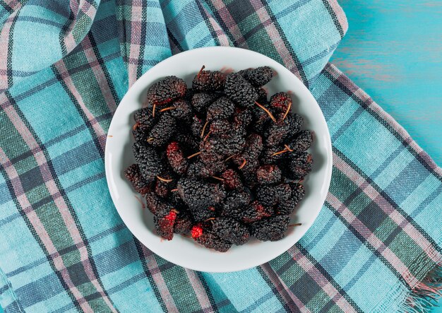 피크닉 헝겊과 푸른 나무 배경, 평면도에 접시에 일부 mulberries.