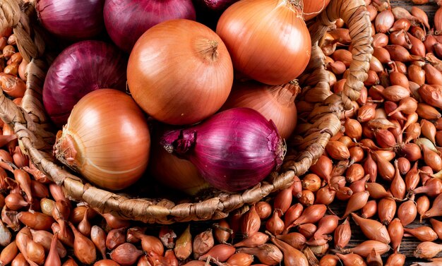 Some of onions with red onions in a basket, shallots