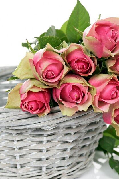 Some pink roses in Basket on white background