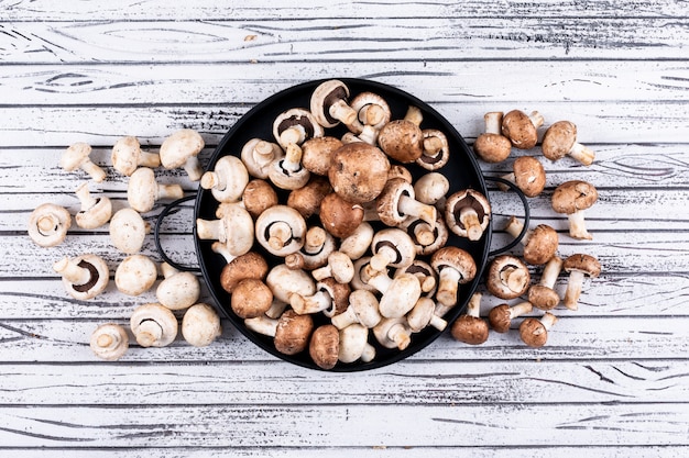 Some of white and brown mushrooms in a plate and around it