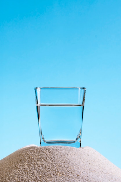 Sotol drink still life