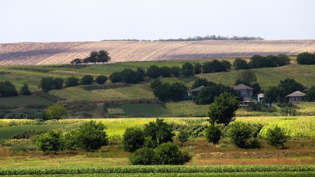 Sown fields, lush trees and few residential village buildings in Moldova