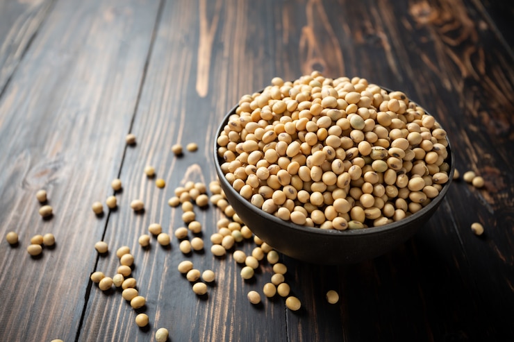 Free Photo soy bean