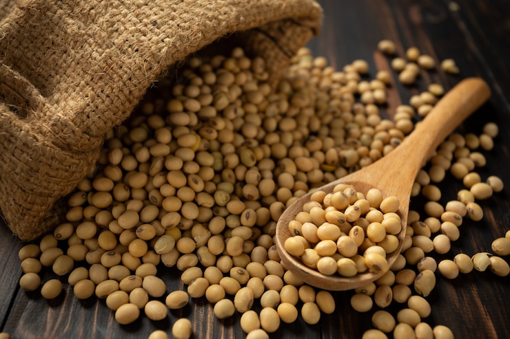 Free Photo soy bean
