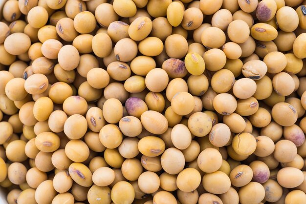 Soybean isolated on white background