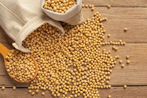 soybean seeds on wooden floor and hemp sacks food nutrition concept.