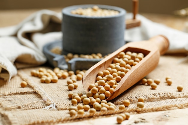 Soybeans in wooden scoop and a little stone mill Free Photo