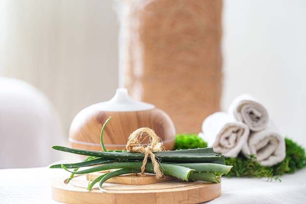 Spa composition with the aroma of a modern oil diffuser with body care products . Twisted white towels, and aloe Vera . The concept of Wellness for body and health .