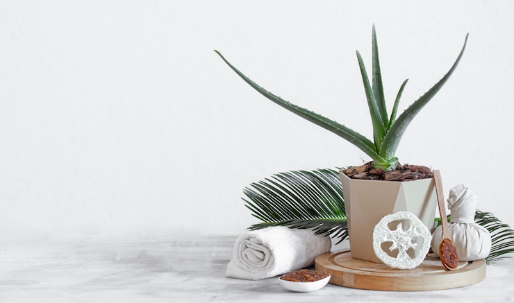 Free Photo spa composition with body care items on light.