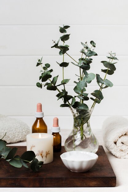 Spa composition with lit candle and plant