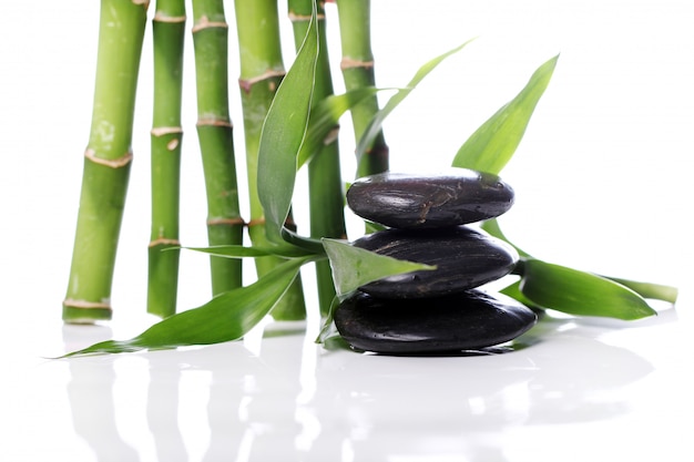 Spa stones and bamboo leaves