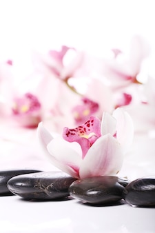Spa stones and beautiful orchid