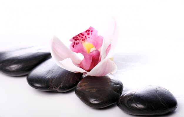 Spa stones and beautiful orchid