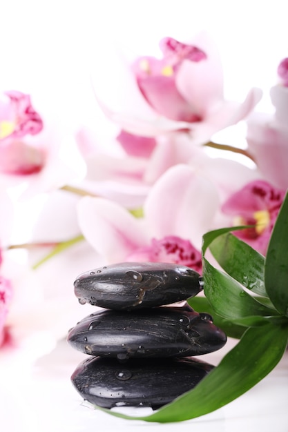 Free photo spa stones and beautiful orchid